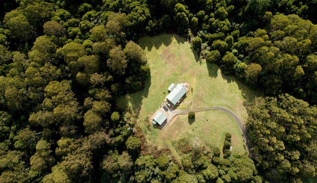 Barramunga Cosy Rainforest Retreat with Great Ocean Road convenience. in Barramunga