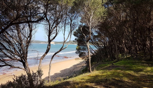 Beachfront House with Water Views in Cape Woolamai
