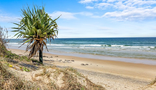 Beachfront Position 100m to sand, at Peregian Beach