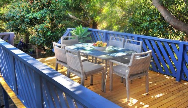 Blue Patch- Pet Friendly