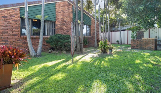 Bromeliads - Iluka in ILUKA