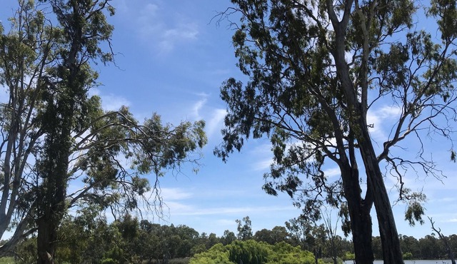 Bundalong Murray River Waterfront in Bundalong