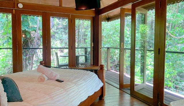 Cairns Rainforest Retreat in Cairns