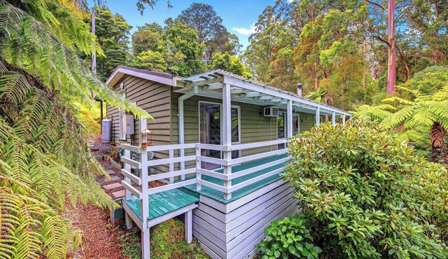Calming bush surrounds, relaxing creek sounds!