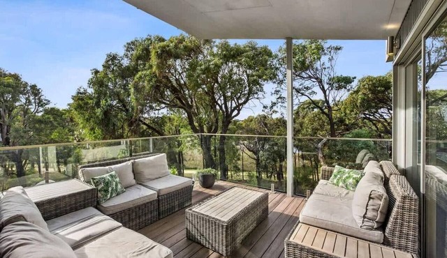 Coastal Tree Top Views in Fairhaven