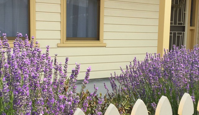 Cullean Cottage located in in the heart of historic Goolwa. Pet friendly in Goolwa