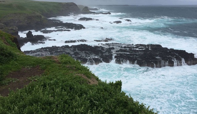 Cups Estate Cape Schanck | 4BR Coastal Retreat | Golf & Ocean Views