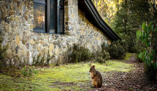 Discovery Parks - Cradle Mountain