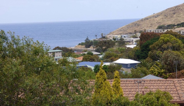 Dog Friendly Holidays in Encounter Bay