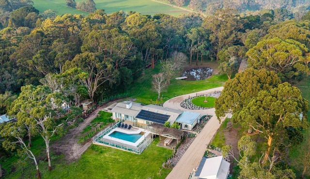 Eagle Rise - Stunning views through the vineyard in Main Ridge