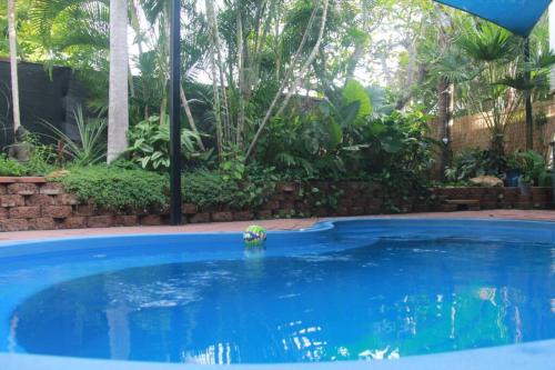Elevated Tropical House