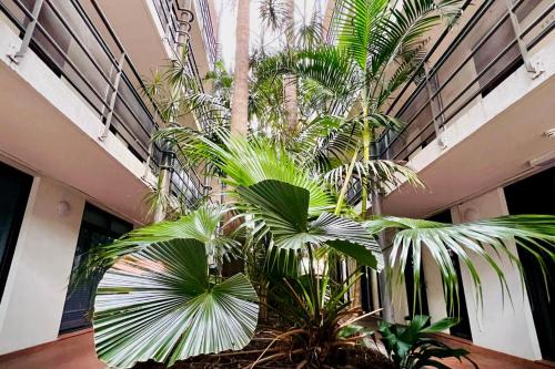 Elizabeth Bay Studio Near CBD & Kings Cross Sydney BEST LOCATION