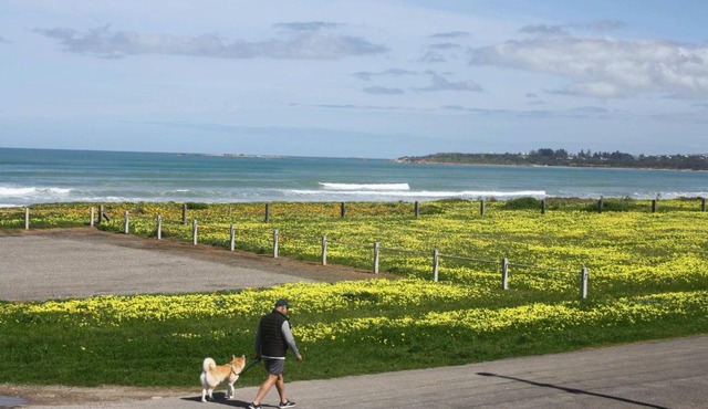 Esplanade Escape Absolute Beachfront WIFI-NBN in Middleton