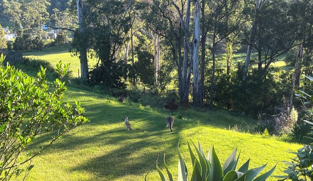 Family friendly haven in the heart of the Sapphire Coast