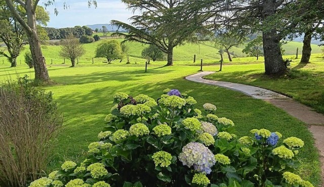 Fernbrook Guest House Kingfisher Suite