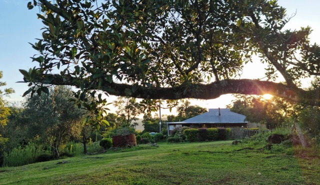 Frogmouth Farm is your 'rural, remote' pet-friendly escape to solitude!