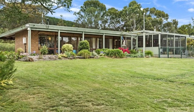 Gisborne Peak Winery - Blue Gum Guest House in Gisborne