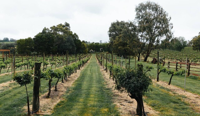Glen Erin At Lancefield - Vineyard Retreat in Lancefield