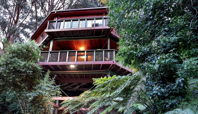 Gorgeous Octagonal Tree House Rental for a Unique Dandenong Ranges Accommodation near Melbourne