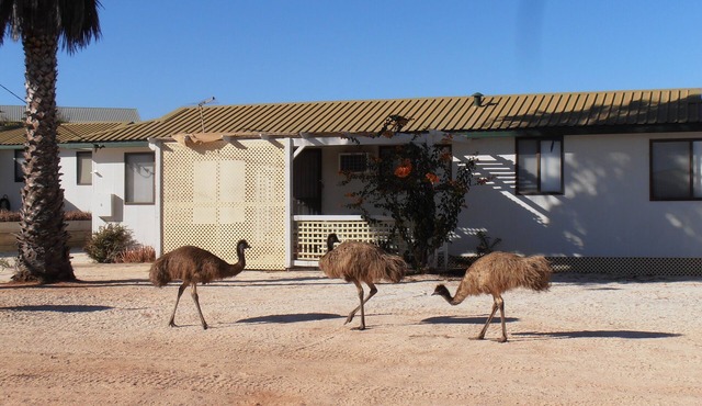 Hartog Cottage 2 Denham in Denham