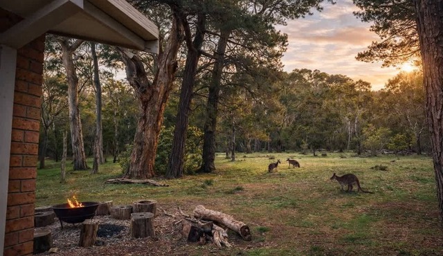 Kangaroo House