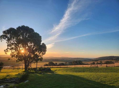 Lush Pastures in Bald Hills