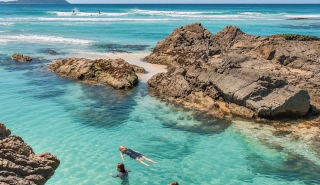 Luxe Beachfront Haven w/heated pool. Pet-Friendly