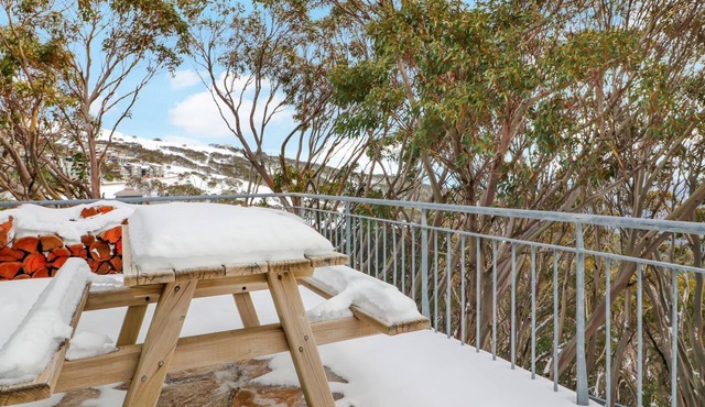 MARK II 2 West Executive Accommodation in Mt Buller