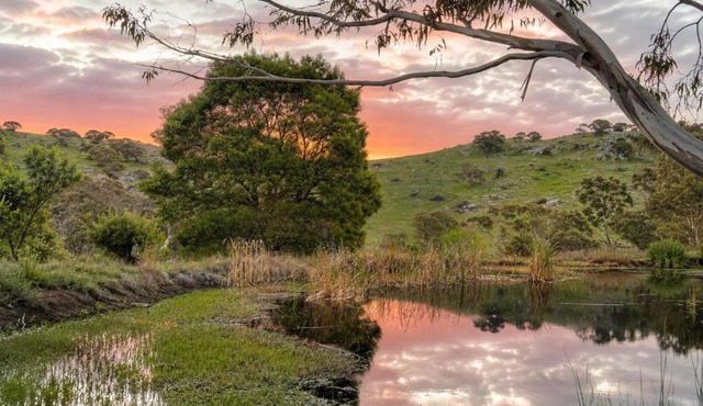 Moonrise Hill in Sedgwick