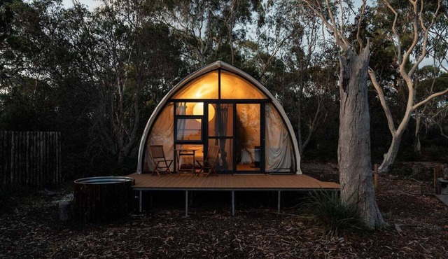 Numie - Cocoon White Gum in Glamorgan-Spring Bay