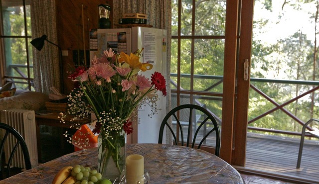 Nutley Cottage - Nutleys Creek Rd 74