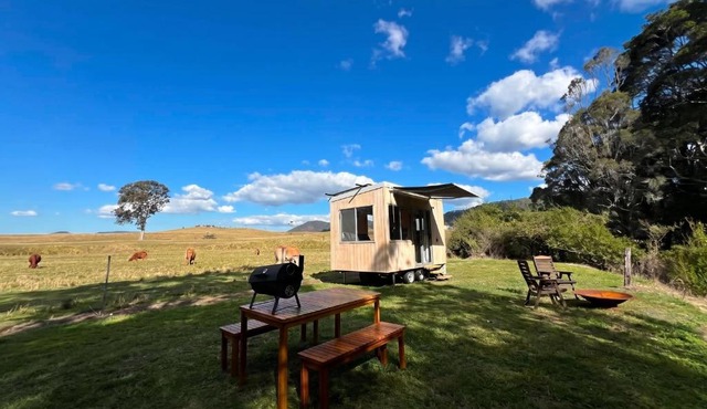 Off-grid tiny home on the creek in Conondale