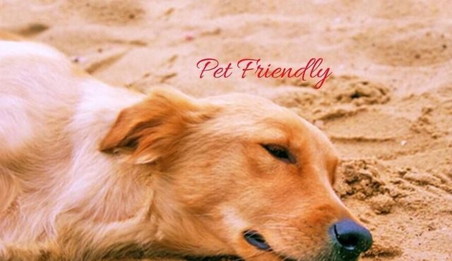 Pet Friendly - BBQ - Family Friendly in Greenwell Point