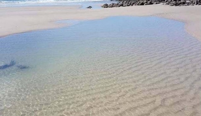 Pet Friendly Coastal Stay Near The Beach. in Bundaberg