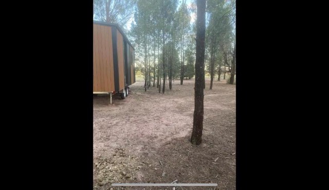 plain Bush in Bohena Creek