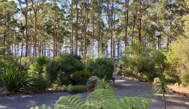 Raylea Retreat - Rest and Relax surrounded by nature - fur baby friendly! in Denmark