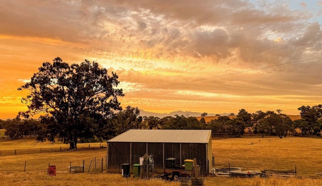 Rural Farm Stay on the Grampians Fringe