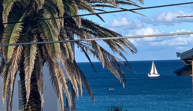Seaview apartment directly across from the beach in Cronulla
