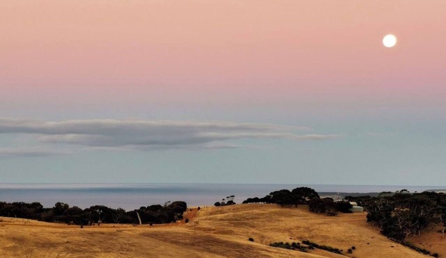 Still Windy | Secluded Couples Retreat Near Snelling Beach