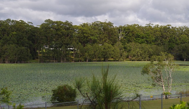 The Emerald Cottage retreat - close to beaches in EMERALD BEACH