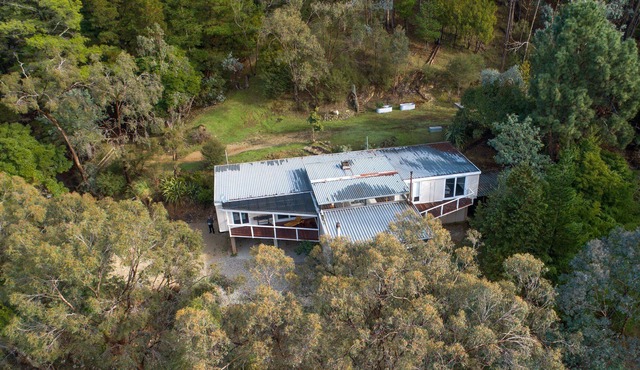 The Tree House retreat is beautifully secluded and elevated amongst the trees. in Eildon