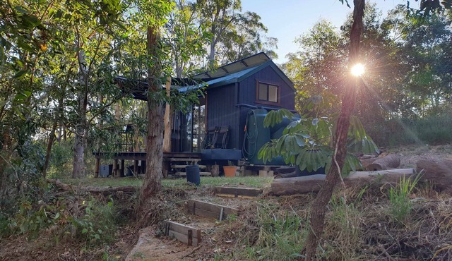 Tiny in The Trees - Cute, Spacious Tiny House set privately amongst the trees.