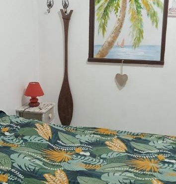 Tropical cocoon in Kourou