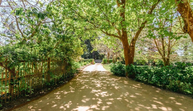 Tucks Hill - Get away from it all and find peace at Tucks Hill! in Shoreham