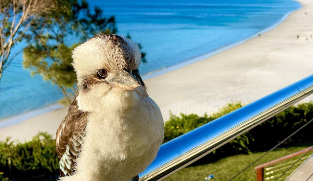 Walters Holiday Flats @ Hyams Beach (Flat 3) - Book 7 nights pay for only 6*