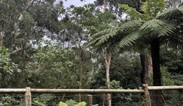 Warburton Hideaway | MTB and Family Friendly