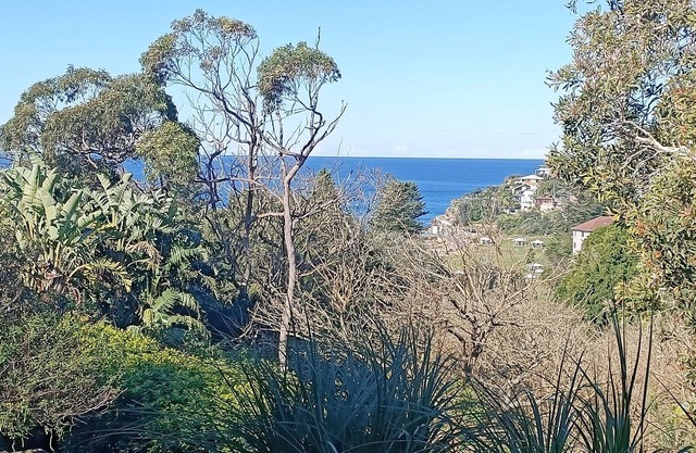 Private Oasis Overlooking Ocean & Bronte Gully in Bronte