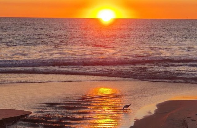 West Beach Lagoon 219 Sleeps 3! in Perth