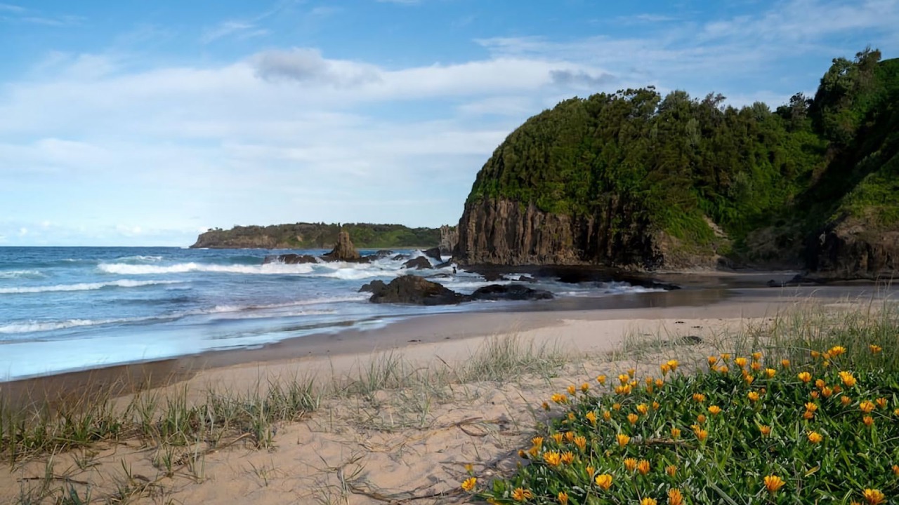 Photo of Others in Kiama Downs