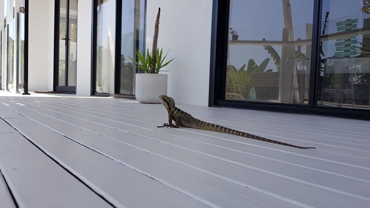 Photo of Outdoor in Buderim